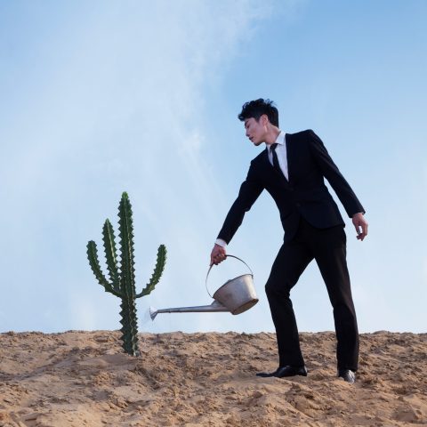 Young businessman watering a cactus in the desert