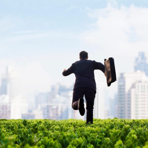 Businessman running towards the city with a briefcase in a green field with plants
